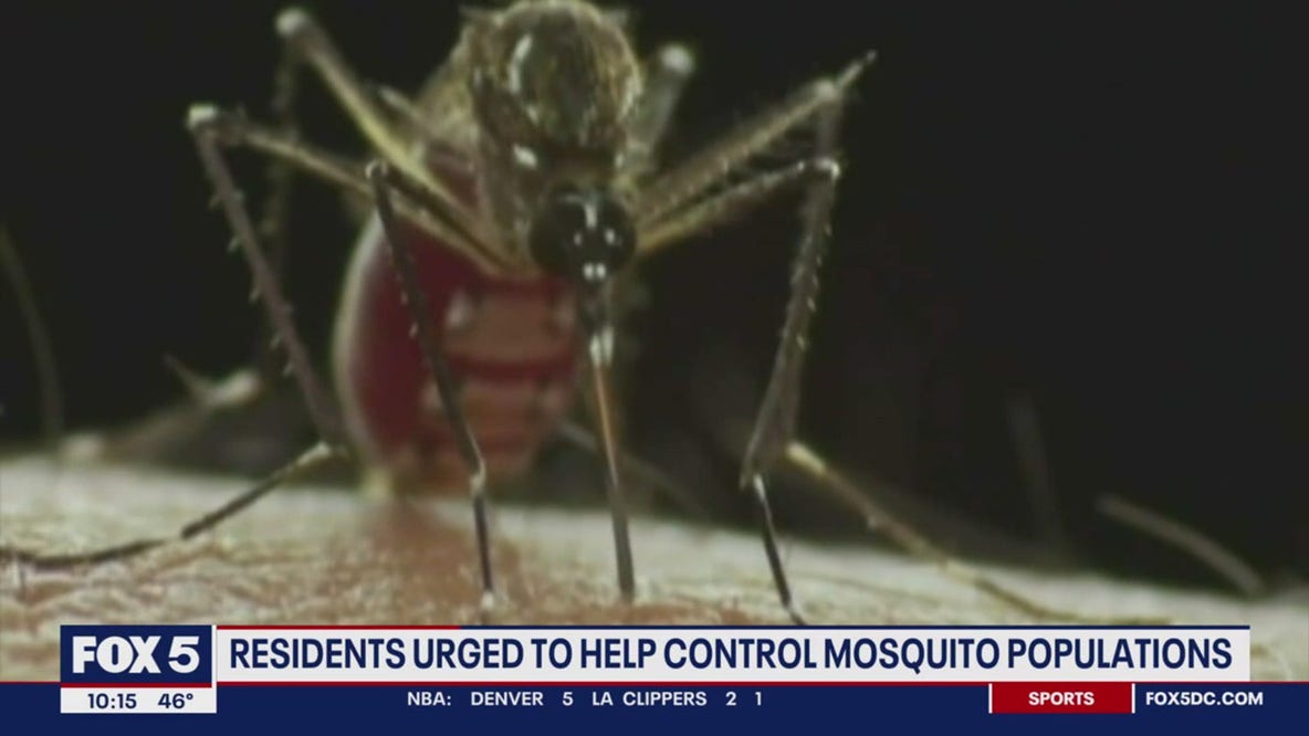 Maryland officials urge residents to prepare for mosquito season